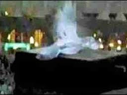 ادعای مشاهده فرشته بر بام کعبه / شایعه یا واقعیت + فیلم