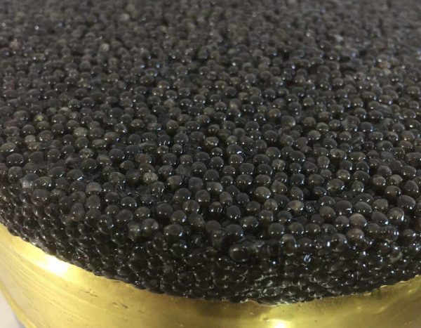 beluga caviar melbourne